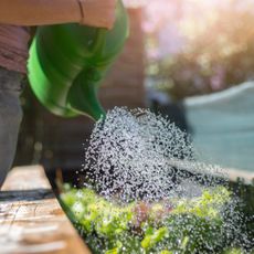 A watering can waters a raised bed