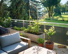 Raised beds on a balcony