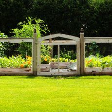 A tall fence surrounding a garden