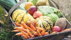 vegetables in a basket