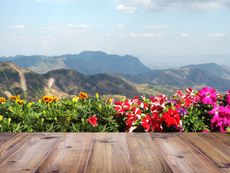 High Elevated Flower Garden