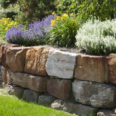 A stone retaining wall surrounding a flower garden