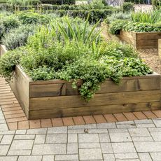 Wooden raised garden beds