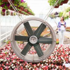 greenhouse air ventilation system using a fan