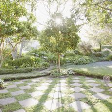 A checkerboard stone and grass path in afternoon sun