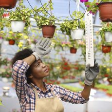 Woman in a greenhouse wipes her brow while looking at a thermometer showing high temperatures