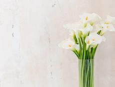 Bouquet Of White Flowers In Glass Vase